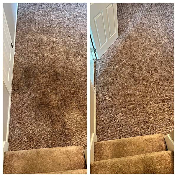 Carpet Cleaning in Baldwin City